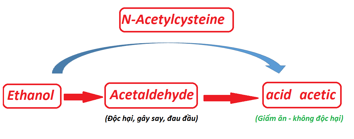 Cơ chế chống say xỉn của N-Acetylcystein