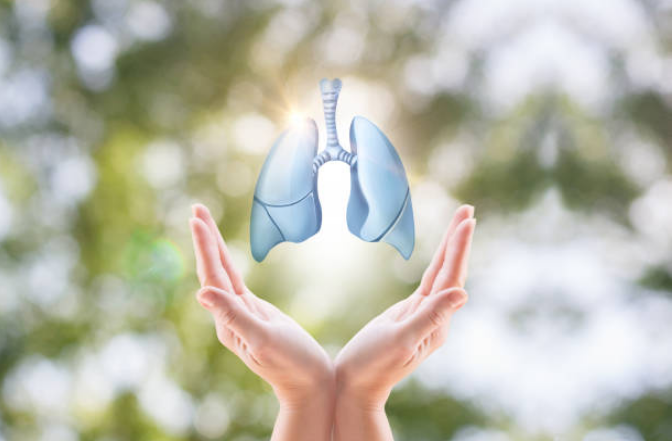 Hãy tìm cách bảo vệ phổi của mình.