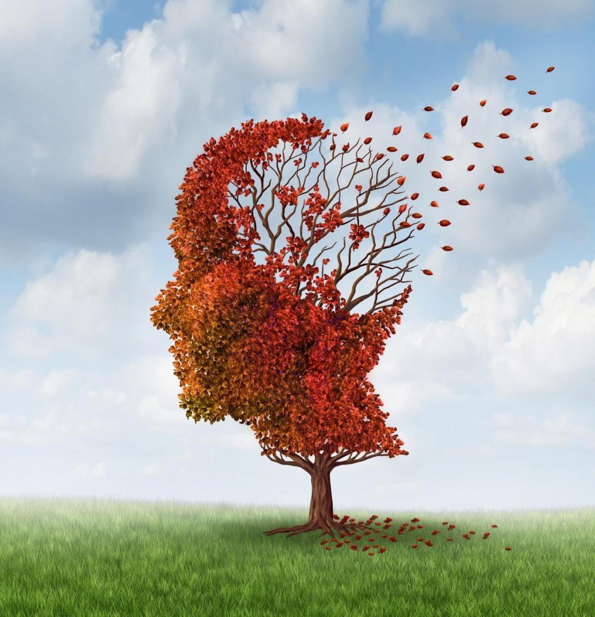 Sắp có vaccine phòng ngừa Alzheimer