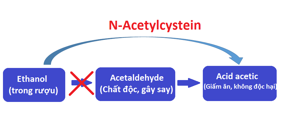 N-Acetylcysteine giúp rượu chuyển hóa trực tiếp thành chất không độc hại