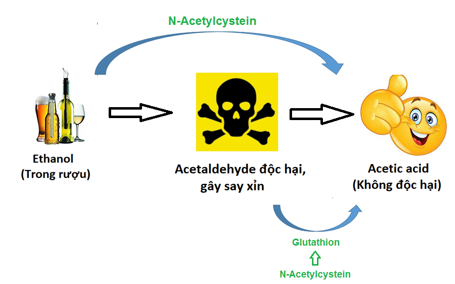 Tác dụng kép của N-Acetylcystein