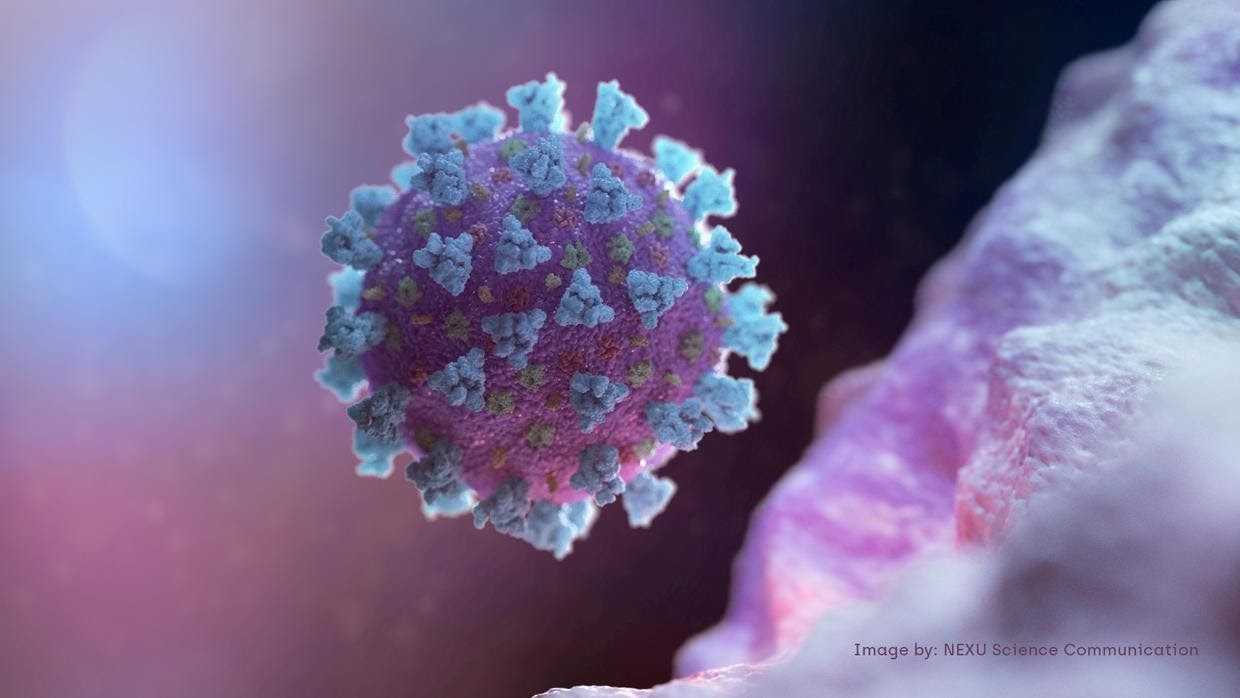 virus corona là gì