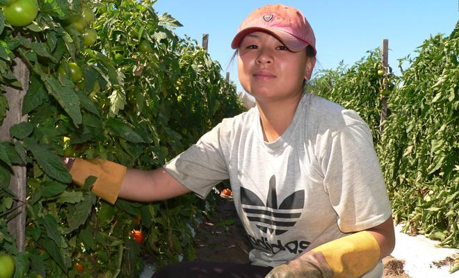  Bạc Liêu: Dùng BoniHappy ngủ tốt nên tôi đang tiến tới bỏ hẳn BoniHappy