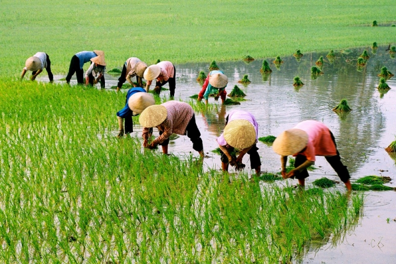  Người dân nên đeo đồ bảo hộ lao động, không nên tiếp xúc trực tiếp với bùn, đất.