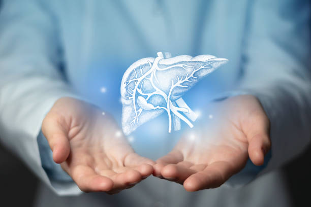 Tăng cường chức năng gan để quá trình thải độc tự nhiên của cơ thể diễn ra thuận lợi