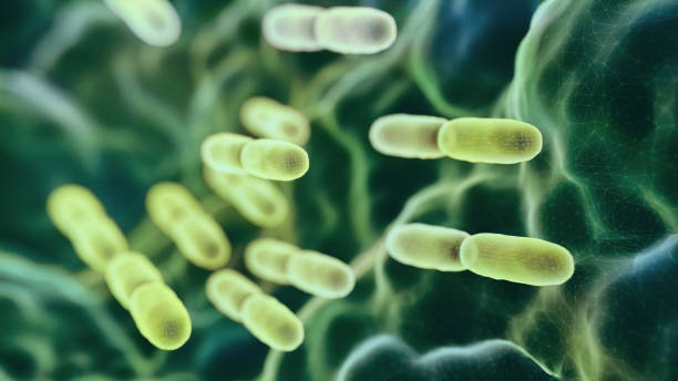 Lợi ích của probiotics với sức khỏe trẻ nhỏ