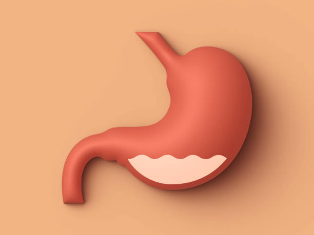 Probiotics tiết ra enzyme giúp tiêu hóa đường lactose trong sữa