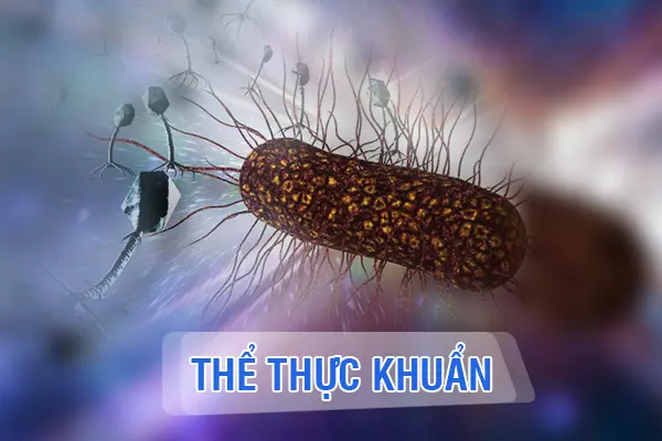 Thể thực khuẩn - “Vũ khí cổ xưa” giúp thay đổi cục diện trận chiến kháng kháng sinh