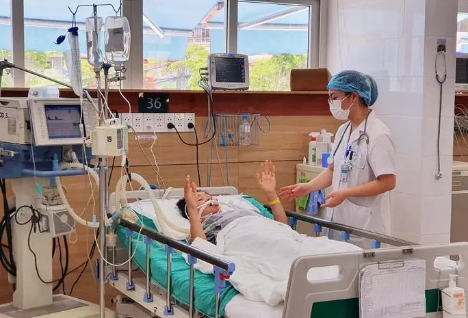 Nhiều người phải nhập viện do bị rắn cắn