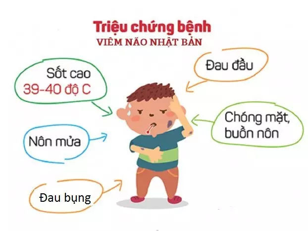 Triệu chứng bệnh viêm não Nhật Bản