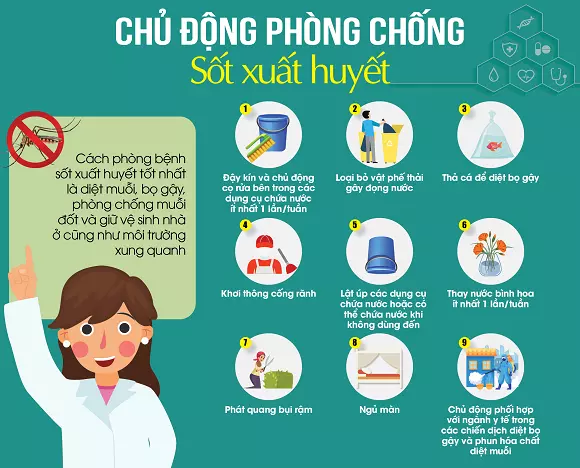 Phòng bệnh sốt xuất huyết