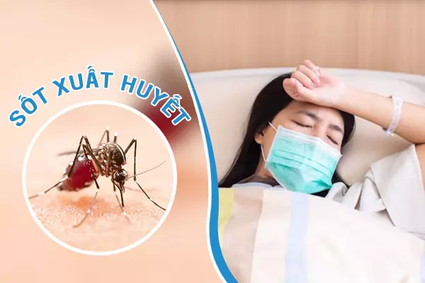 Bị sốt xuất huyết rồi có bị lại không?