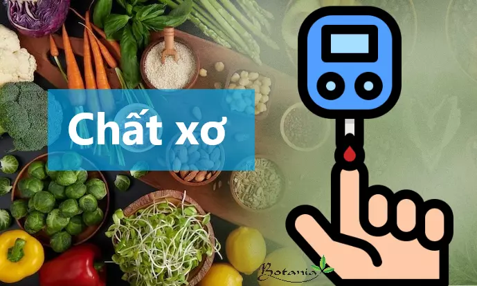 Ngỡ ngàng trước 3 lợi ích tuyệt vời của chất xơ với người bệnh tiểu đường