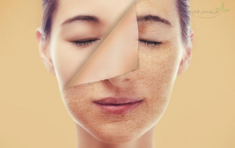 Dùng xịt khoáng khi thấy da bị khô