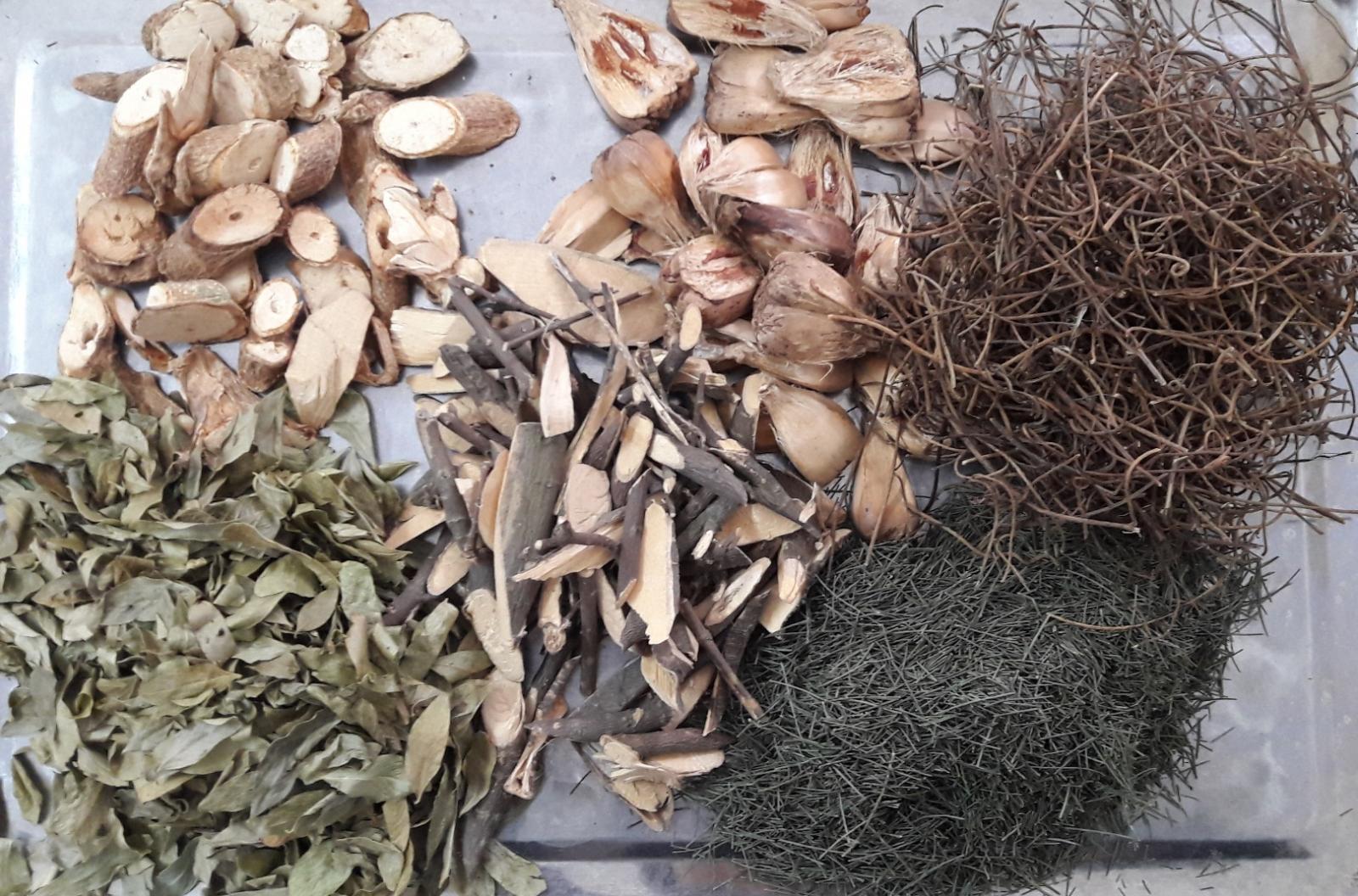 Tự ý dùng thuốc nam chữa ung thư, người phụ nữ mất một bên ngực