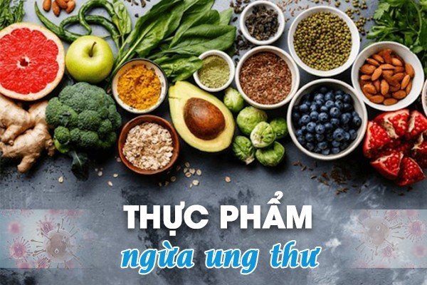 20 thực phẩm ngừa ung thư nên có trong tủ lạnh nhà bạn (Phần 1)