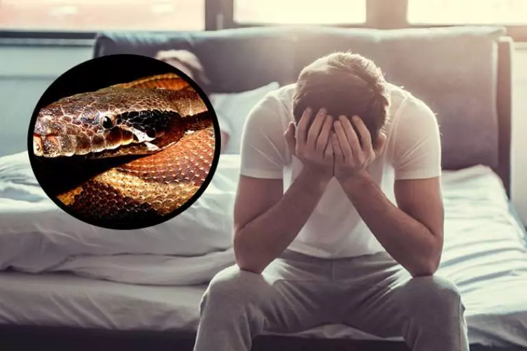 Tin đồn nam giới liệt dương vĩnh viễn vì dùng cao trăn có chính xác không?