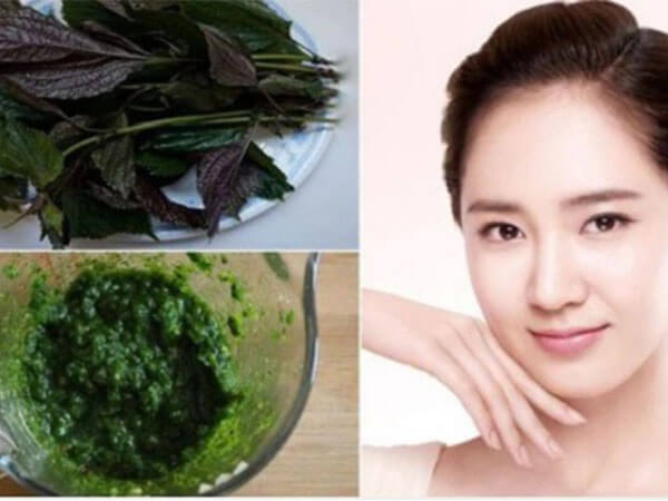 Mặt nạ từ rau diếp cá và lá tía tô rất tốt cho da đang bị tổn thương.