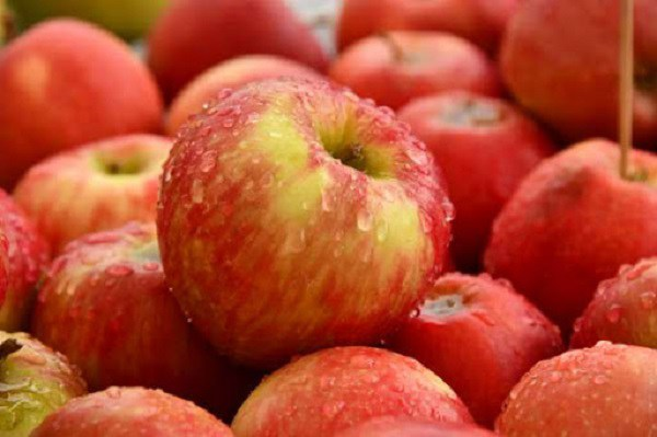 Ăn táo rất tốt cho sức khỏe