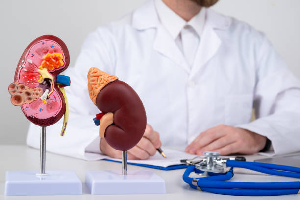 Suy tuyến thượng thận: Nguyên nhân, triệu chứng, điều trị và phòng ngừa