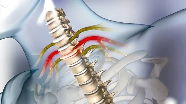 Dân văn phòng có nguy cơ cao bị thoái hóa đốt sống cổ