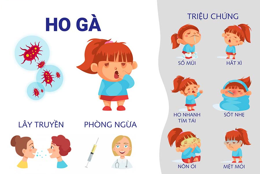 Triệu chứng ho gà.