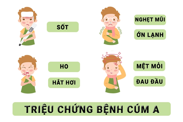 Các triệu chứng cúm A.
